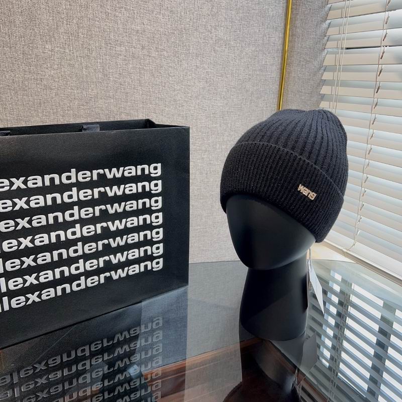 Alexander Wang hat 54 (2)